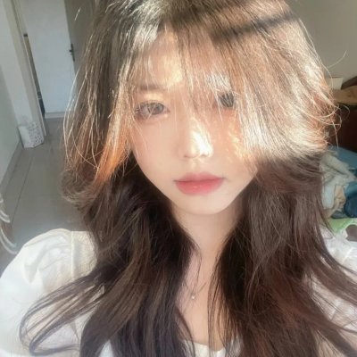 科搜研之女第24季