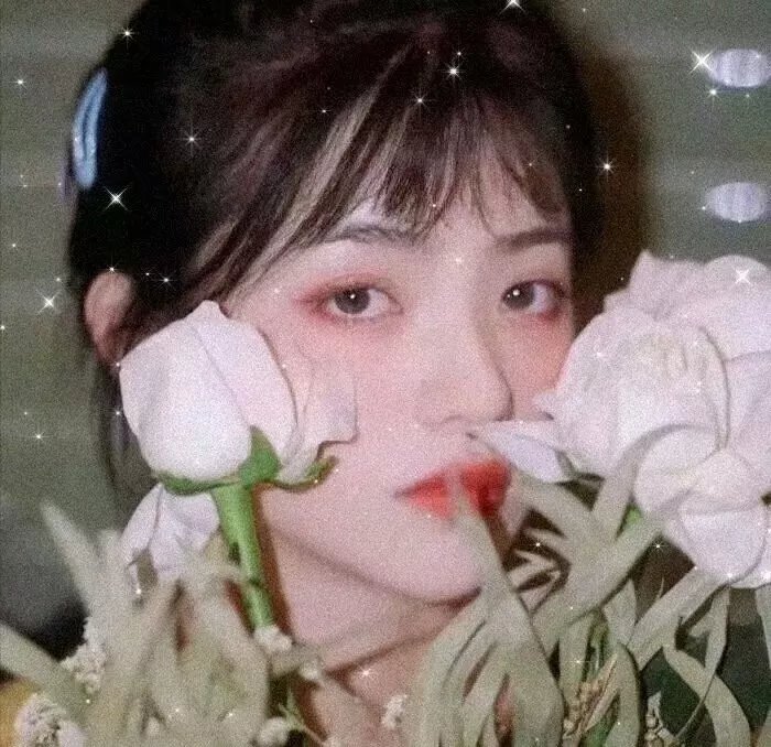 羔羊医生