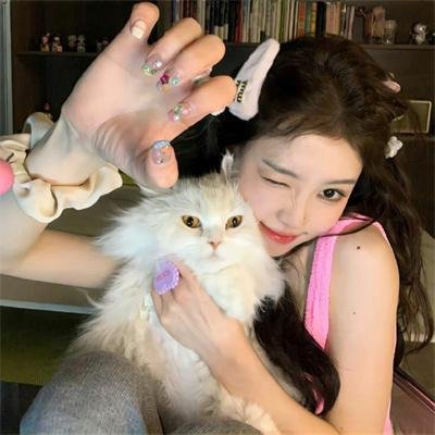 掟上今日子的备忘录